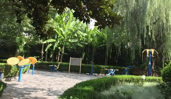 人才入户引进_程潇曾确诊精神疾病与梁朝伟传闻早真相大白 报帖么举未发过什也从