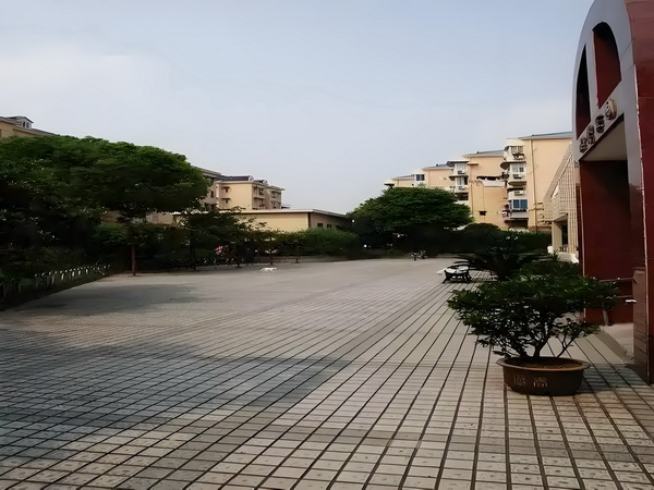 深圳户政咨询热线_《扫毒风暴》大结局王奇令人失望！林强峰的牺牲，与她有隐秘关联 结局王奇令保障安全