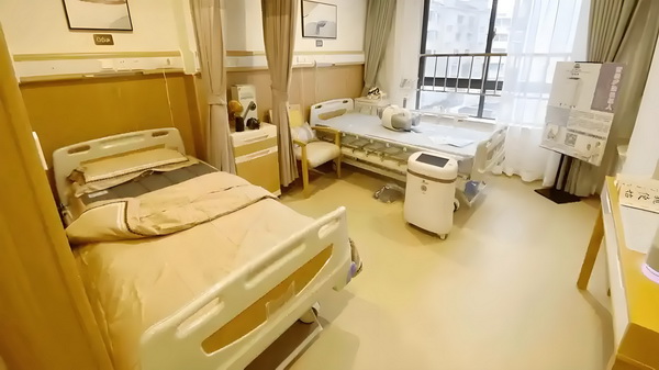 应届毕业生怎么办理深圳户口_记者：阿代米赛后在更衣室和大家说了很抱歉，他很难过 快车撞上城际一辆野猪